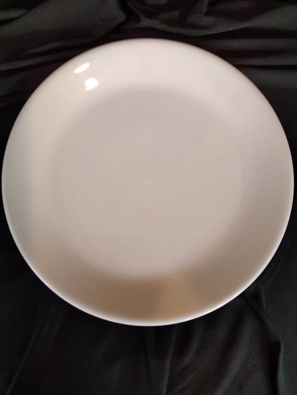 Vintage Syracuse China Syralite U.s.a. 21-c Dinner Plate